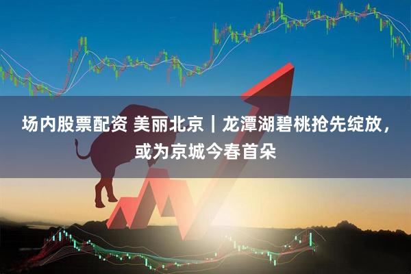 场内股票配资 美丽北京｜龙潭湖碧桃抢先绽放，或为京城今春首朵